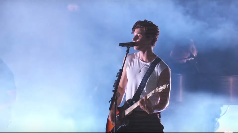 Shawn Mendes: The Tour performance  documented in In Wonder.  