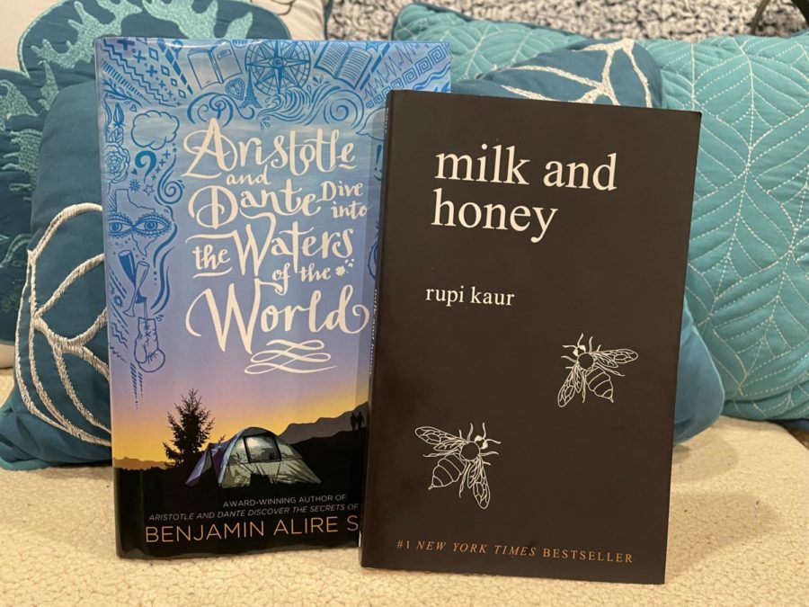 Aristotle and Dante Dive into the Waters of the World and Milk and Honey are the last books were reviewing for the BookTok series. And thats a wrap!