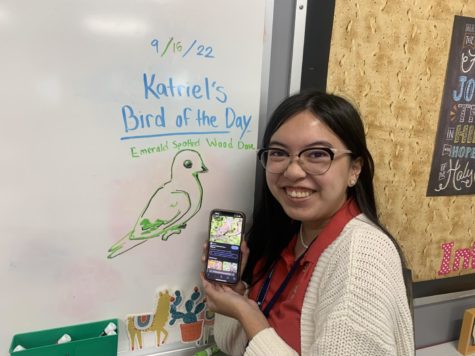 Katriel with a picture of the Emerald Spotted Wood Dove!