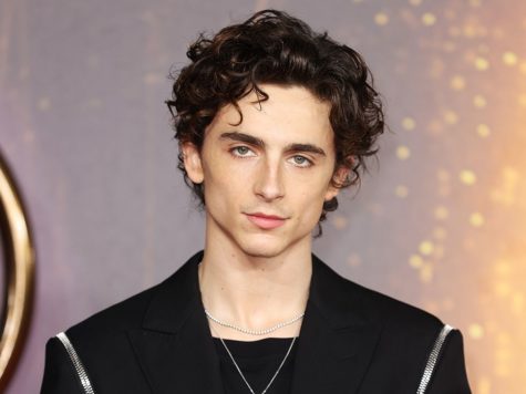 Timothee Chalamet is arguably one of the most talented actors in our generation. (Photo taken from Google Images via Creative Commons License).