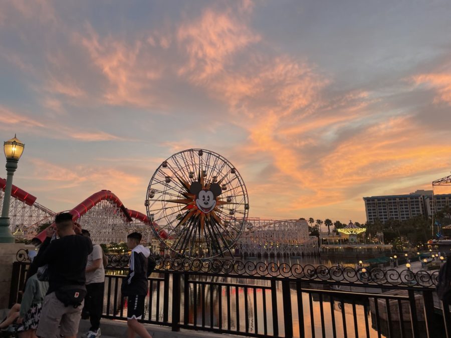 You can see amazing sunsets on your visit to Disney. Even if you dont go to California Adventure.