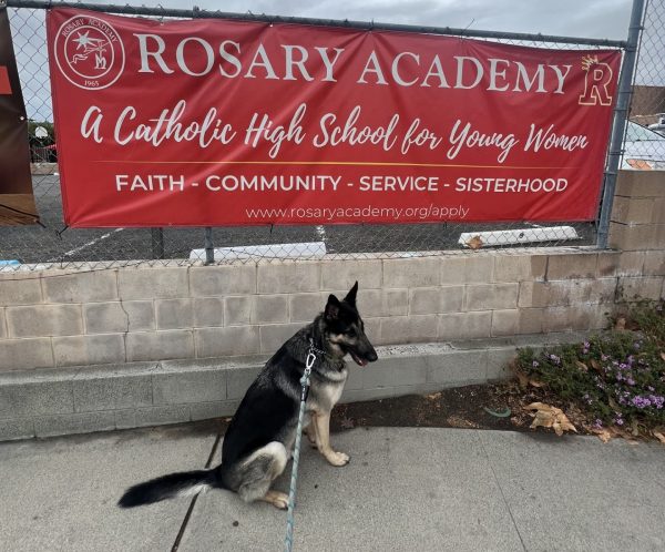 Mrs. LeClairs cute German Shepherd, Moose, enjoying a day at the academy.