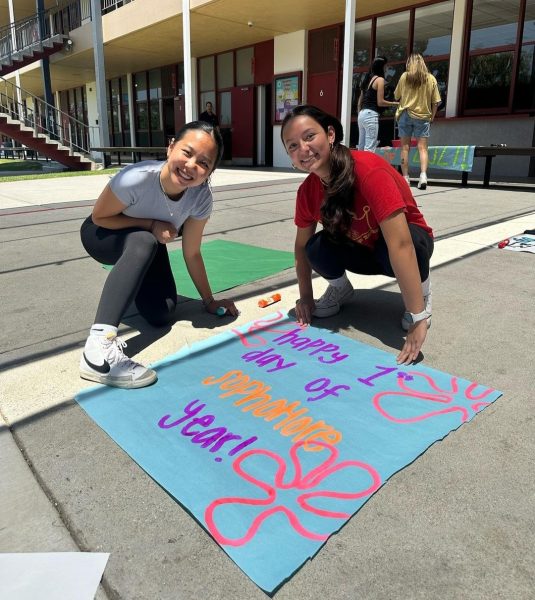 Both ASB and PAL make posters to increase spirit and positivity on campus!