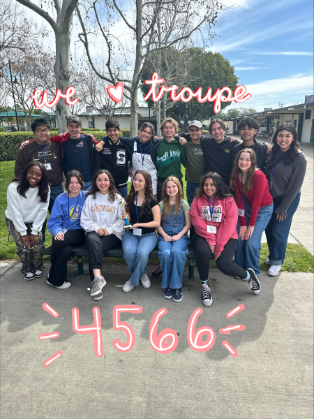 Navigation to Story: Troupe 4566 takes on State Fest