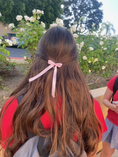 Hair ribbons can add a nice pop of color!