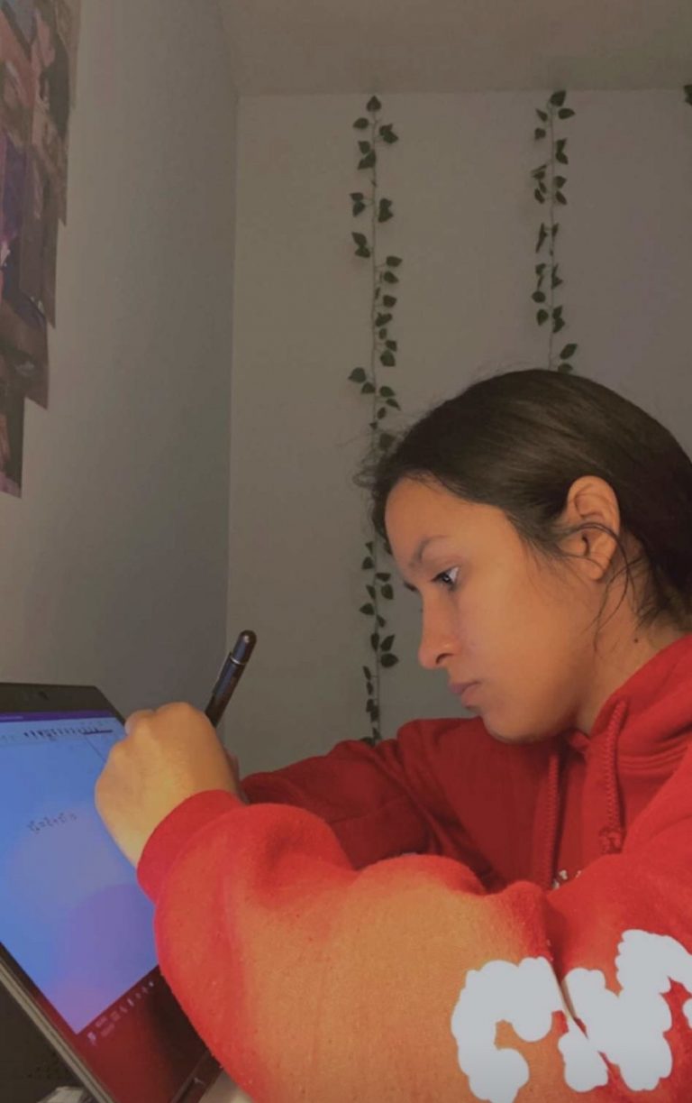 Do Students Prefer Online or OnCampus Learning? The Royal Reporter