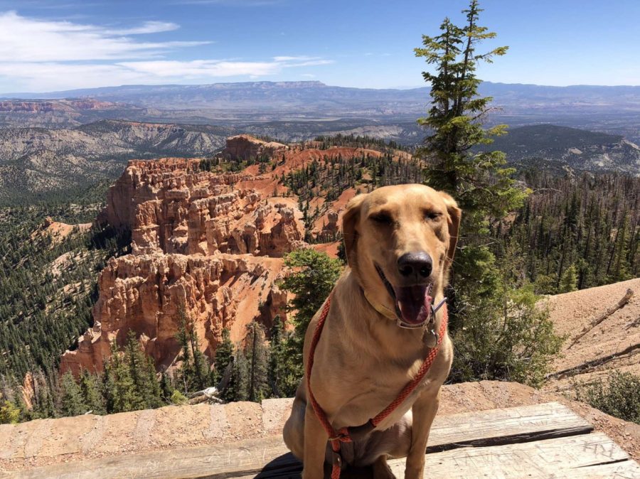 Libby smiles on a very cool walk. 