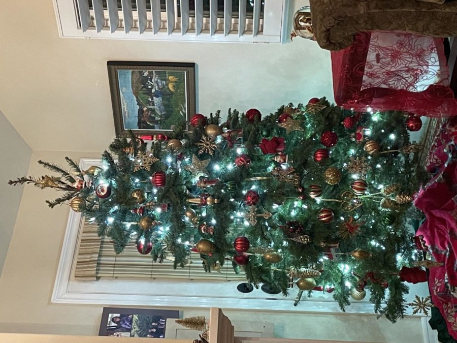 My family's Christmas tree shining in all its glory. (Photo Credit: Madola Nassar).