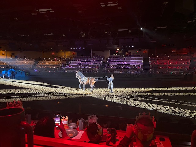 The horse steals the spotlight as he gets ready to perform.