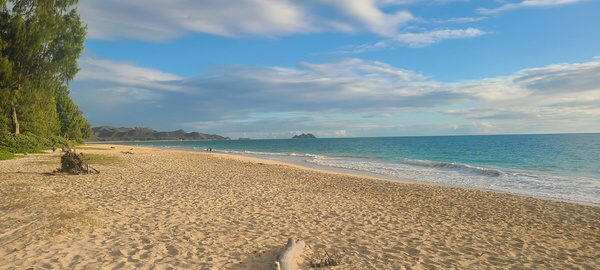 On his vacation, Maurice got to soak up some rays at one of Oahu's beautiful beaches!