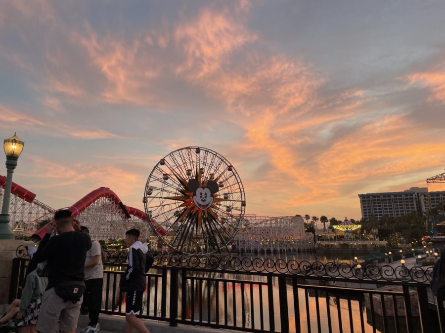 You can see amazing sunsets on your visit to Disney. Even if you don't go to California Adventure.