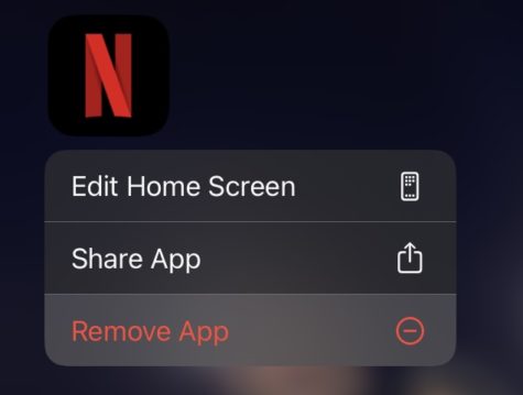 Its time. Goodbye, Netflix.
