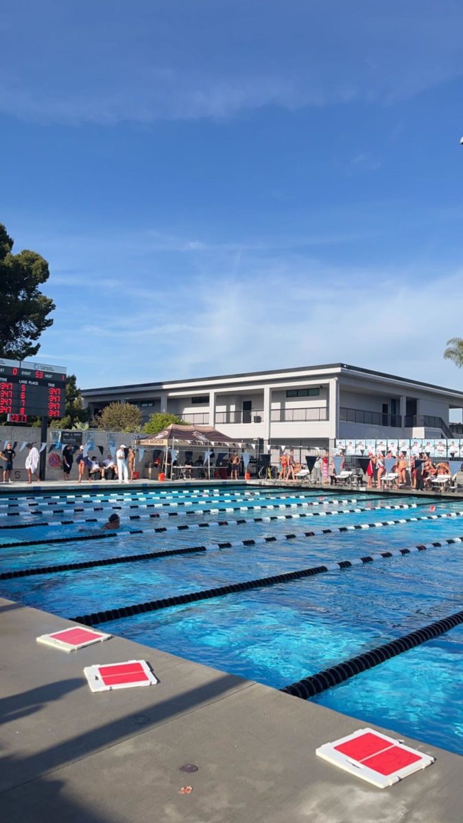 The Rosary and Servite swimmers are hard at work training for swim season.