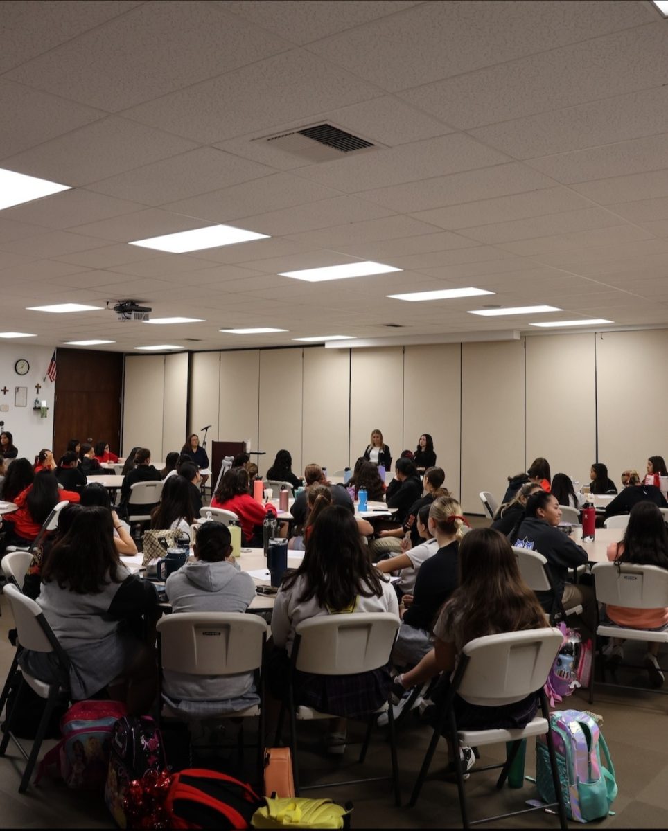 Eager Royals learn all about being an attorney. 