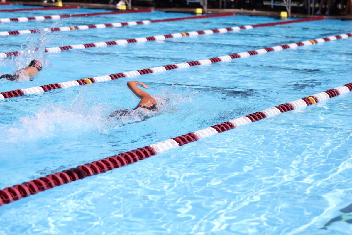 Rosary and Servite gear up for SoCal swim.