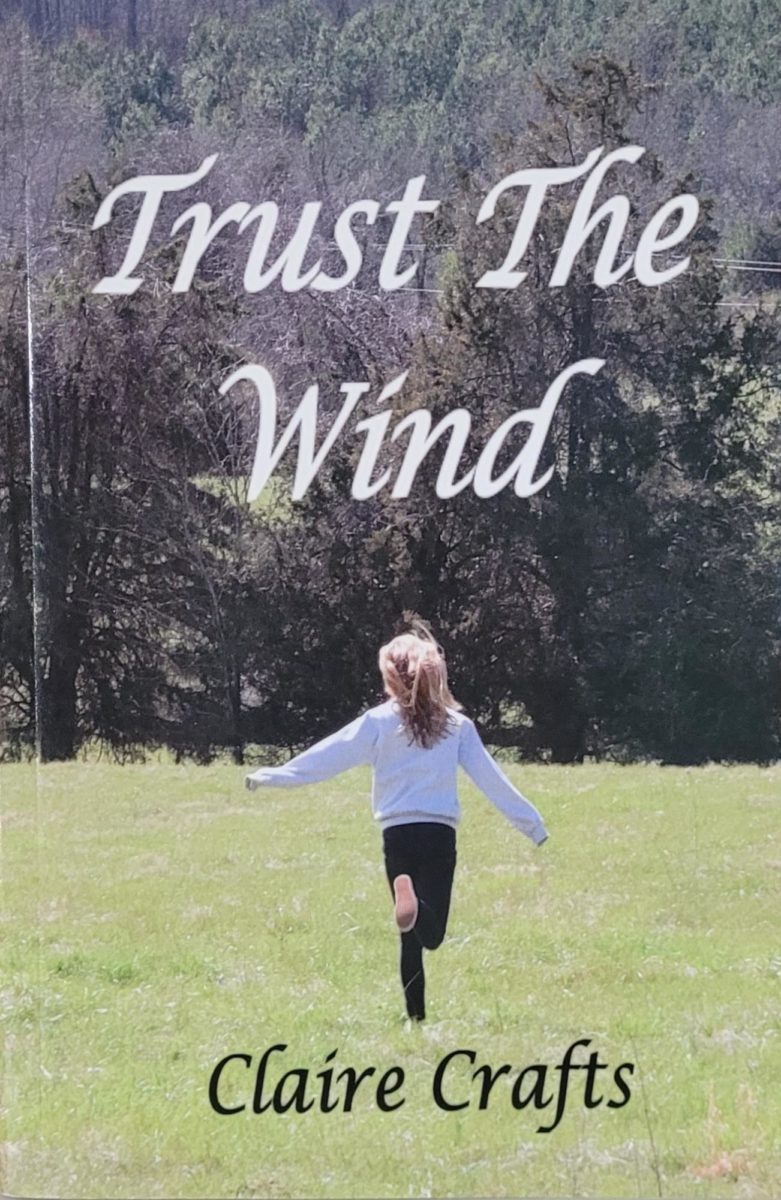 "Trust the Wind" had a great balance of common sense and drama; the characters seem more real than some other books I've read. 