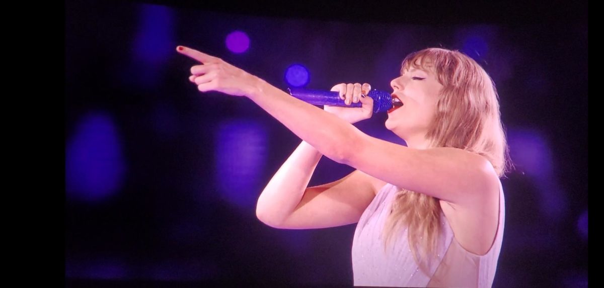 The close-up view of Taylor during "Enchanted" is amazing; I didn't even have to zoom in for this picture.