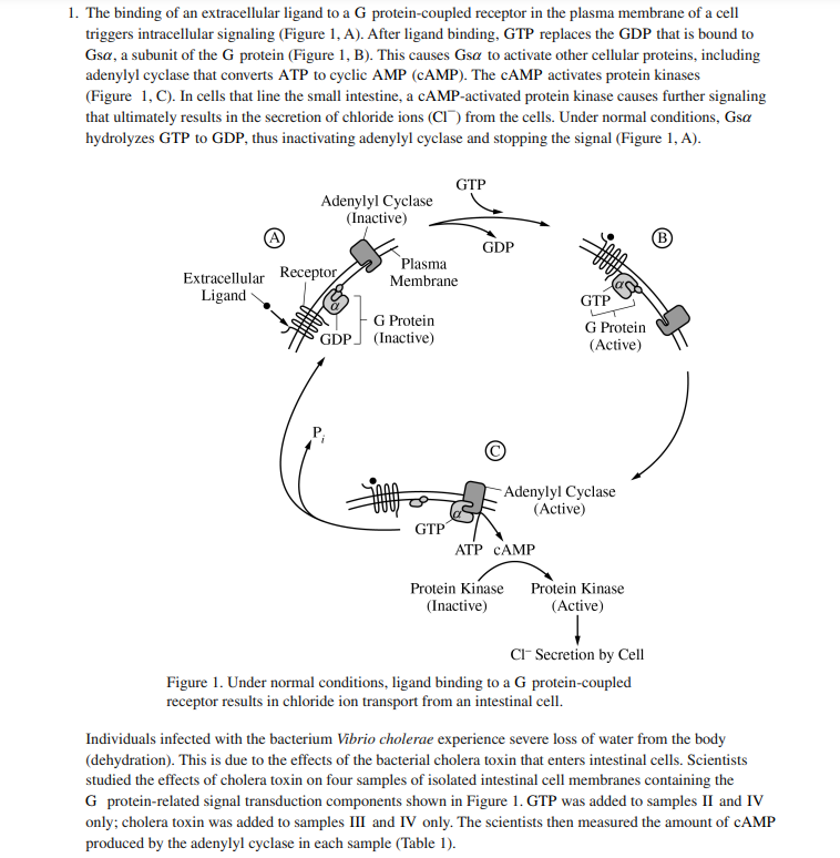 This diagram from Melanie's AP Bio class looks terrifying.  