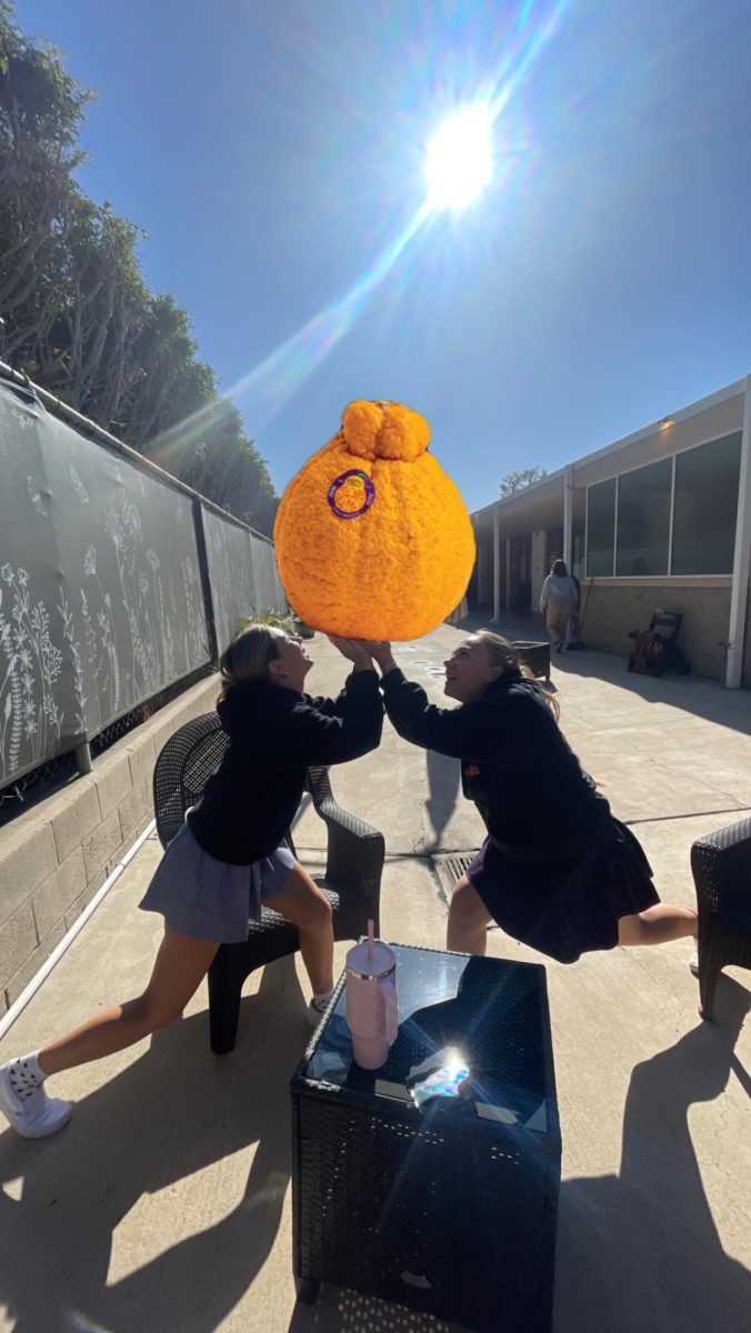 Harper Clark and I love Sumo oranges. 