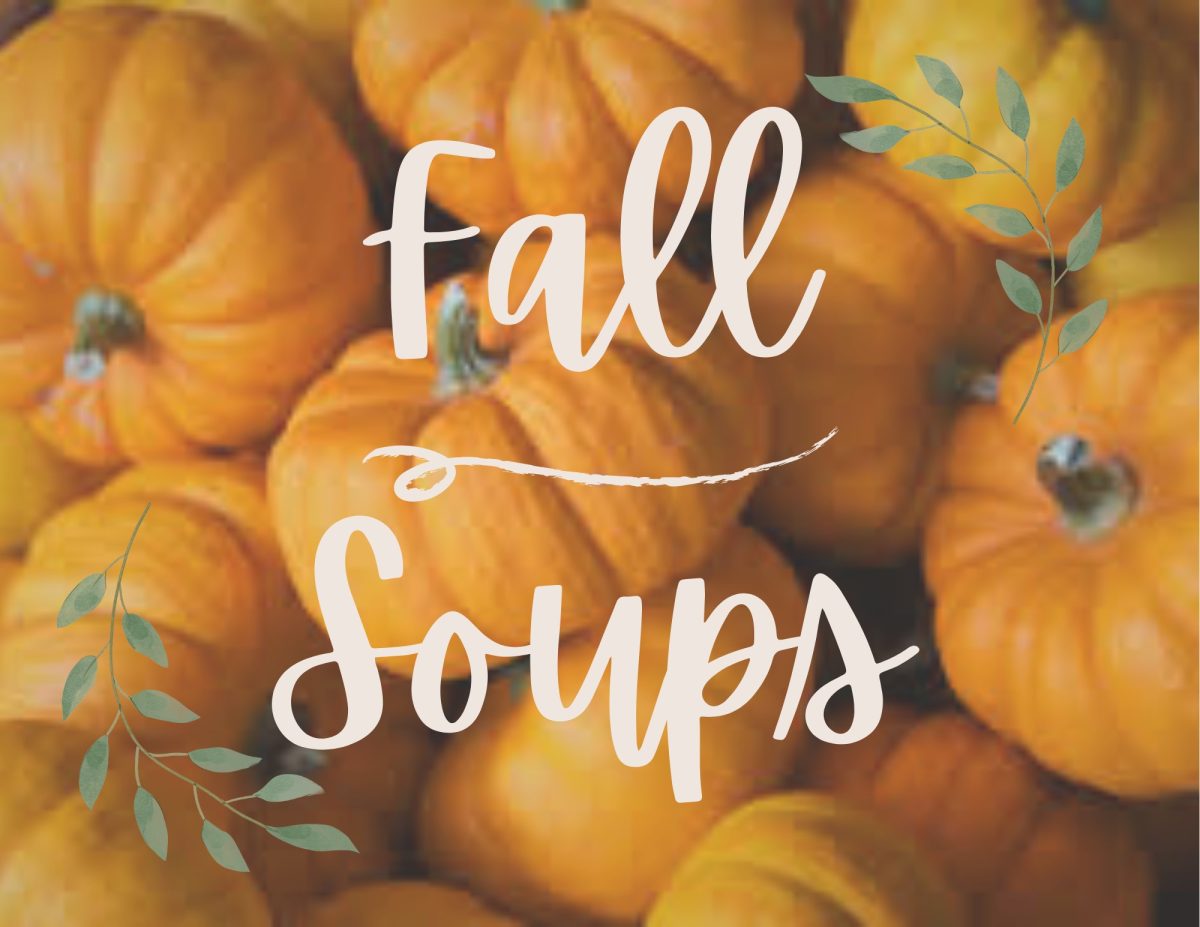 Who doesn't a good soup during fall?