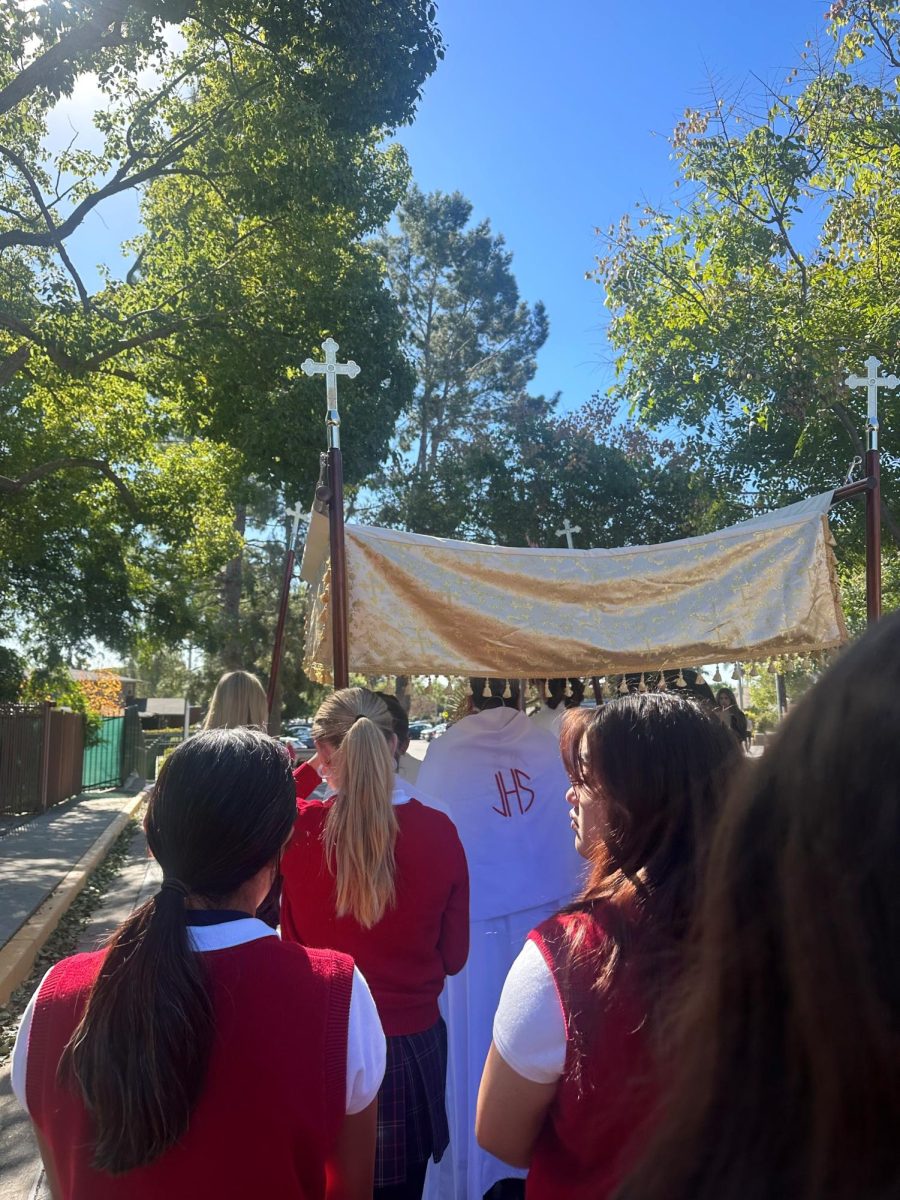 The beginning of the procession was beautiful! Father Ian did an amazing job leading per usual.