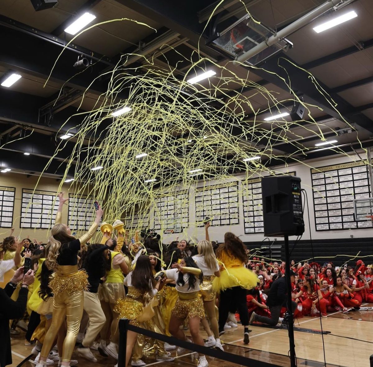 Gold team celebrating after their successful win last year!