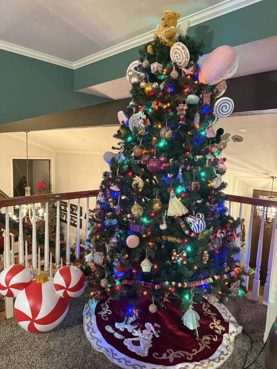 This just might be the happiness tree on earth.