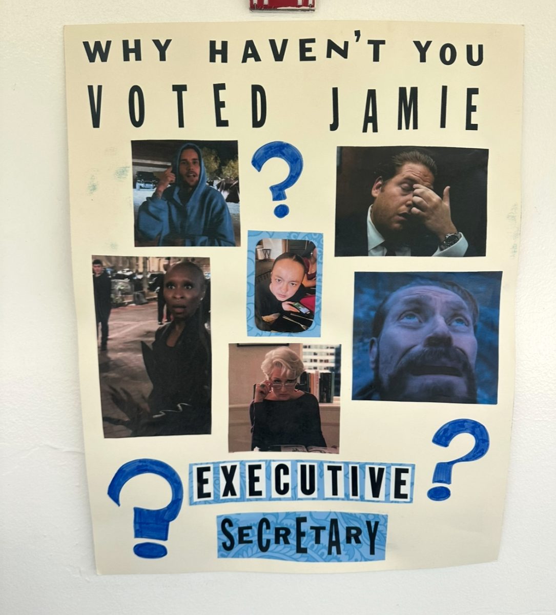 These creative posters are up all around the school leading up to the voting.